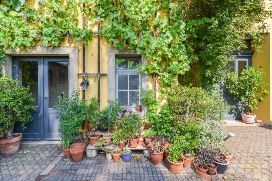 Hinterhof an der Sebnitzer Straße - Foto: Christian Börner